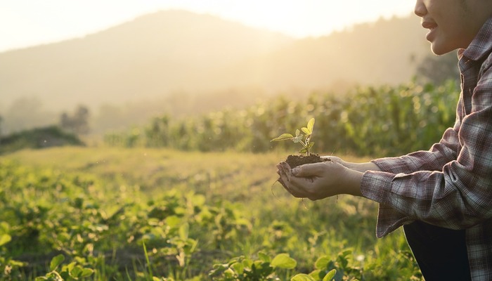 Soil cultivated dirt, earth, ground, agriculture Field land background Nurturing baby plant on hand, Organic gardening, agriculture.