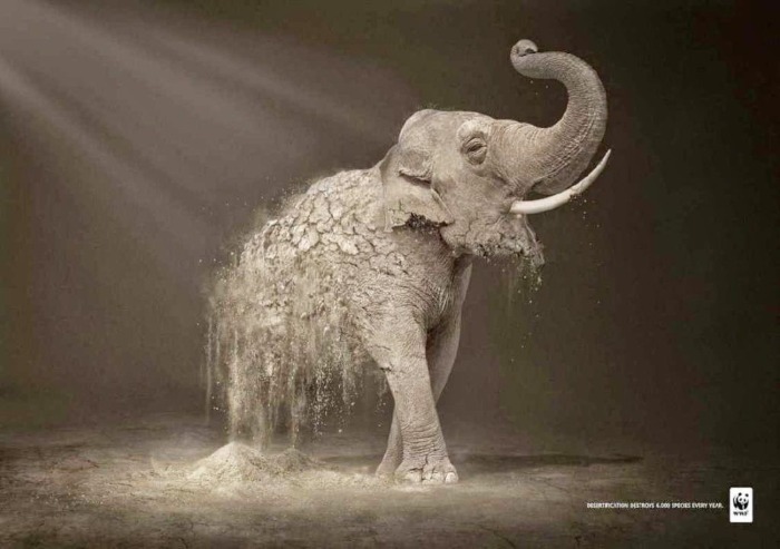 WWF Climate Change Campaign