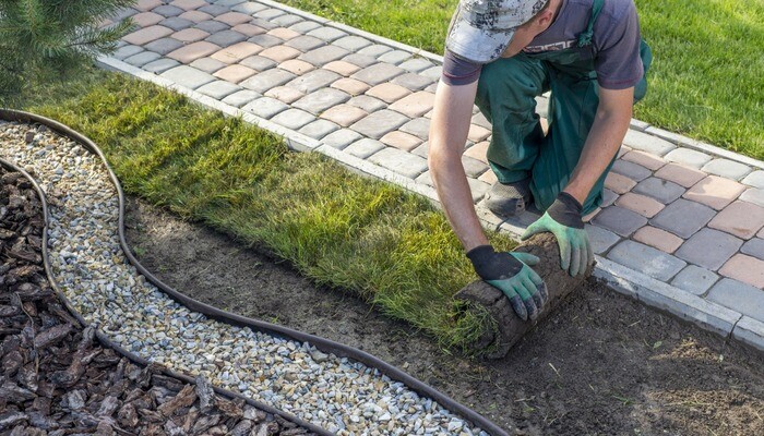 Man laying turf working in a gardening business